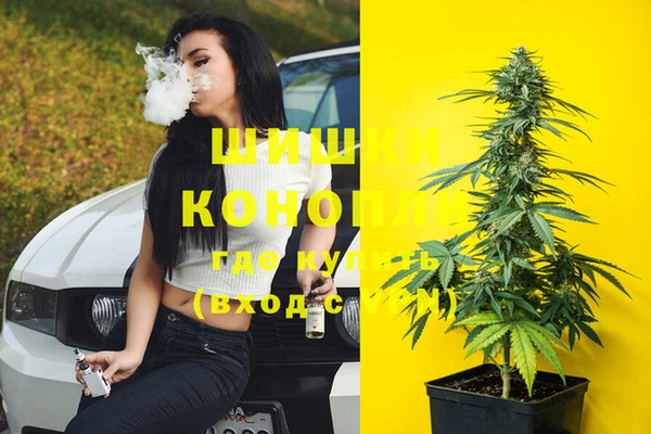 стафф Баксан