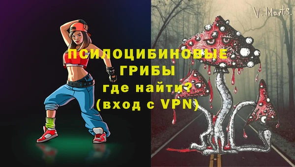 PSILOCYBIN Богородск