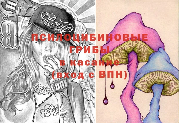 СК Беломорск