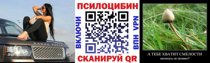 Псилоцибиновые грибы прущие грибы Богданович